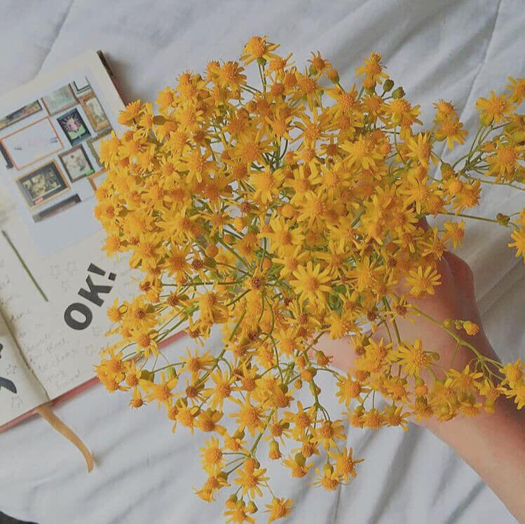 ♡