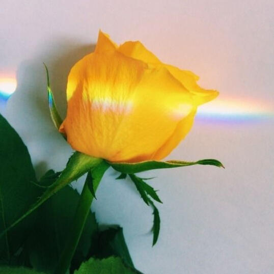 ♡